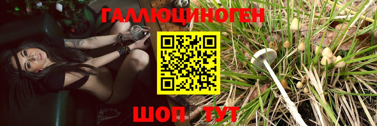 Галлюциногенные грибы Psilocybe  Галлюциногенные грибы Cubensis  Вход с VPN  Среднеуральск 