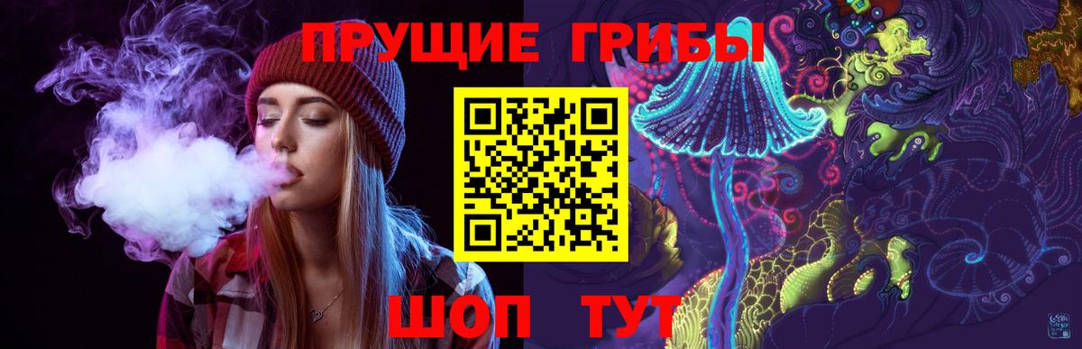 Псилоцибиновые грибы Psilocybe Среднеуральск